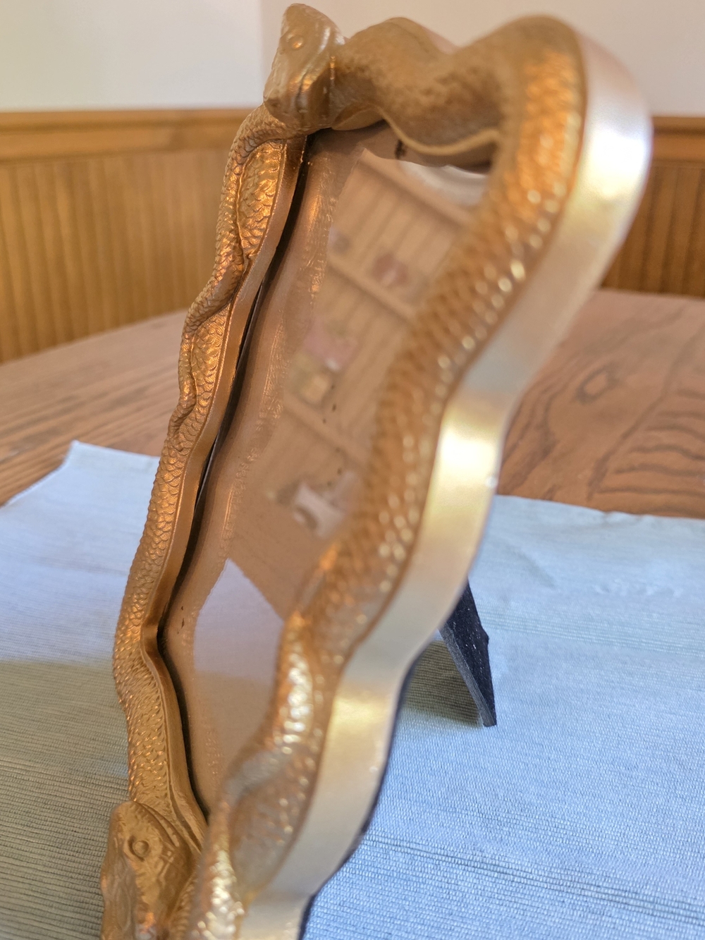 GOLD SNAKE Frame 5x7 Photo - Picture 9 of 16